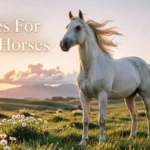 Names For White Horses